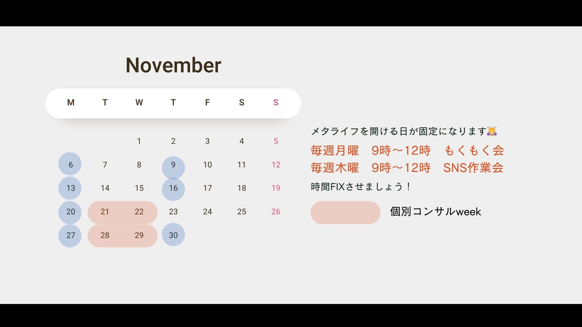 11月の予定
